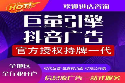 竞价广告投放技巧与案例分析